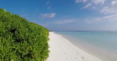 local-island-maldives1